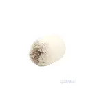 2_فرشة سليندر 4 يوصة بالاكس 6 مللي.webp