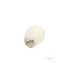 4_فرشة كونو للتلميع 3 بوصة بالاكس 6 مللي.webp