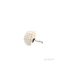 2_فرشة ماشروم 50 مللي بالاكس 6 مللي.webp