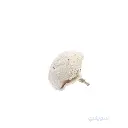 2_فرشة ماشروم 100 مللي بالاكس 6 مللي.webp