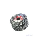 Italian Sanding Drum – 10x5 Inch | 120 Grit | For Fine Finishing of Metals and Wood